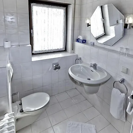 Отель Landgasthaus Roessle 3*